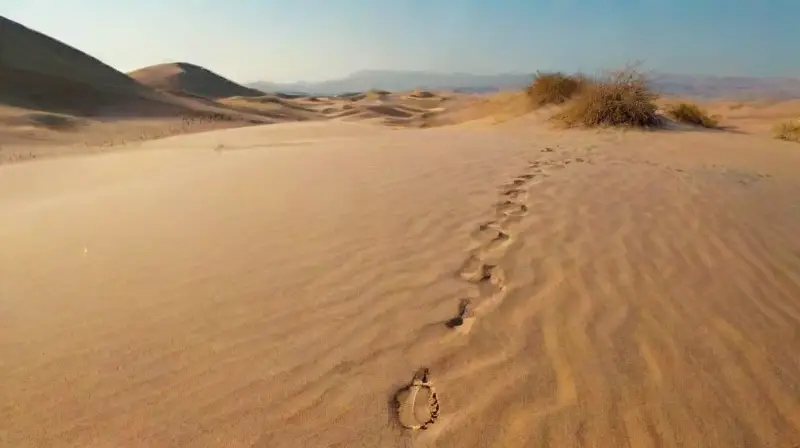 Un poeta solitario en vasto desierto