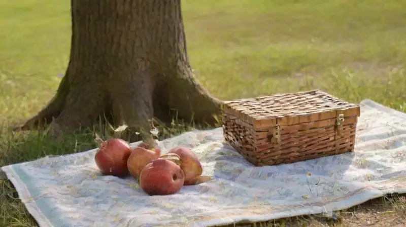 Amigos disfrutando un picnic al atardecer