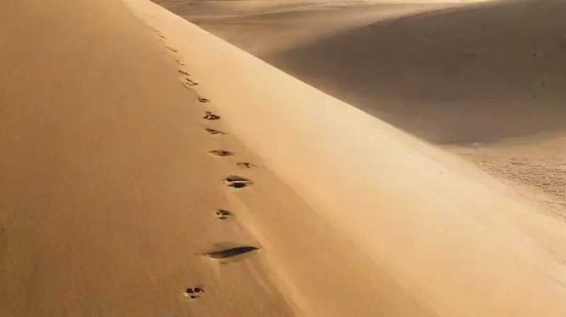 Un desierto vasto con un pergamino antiguo