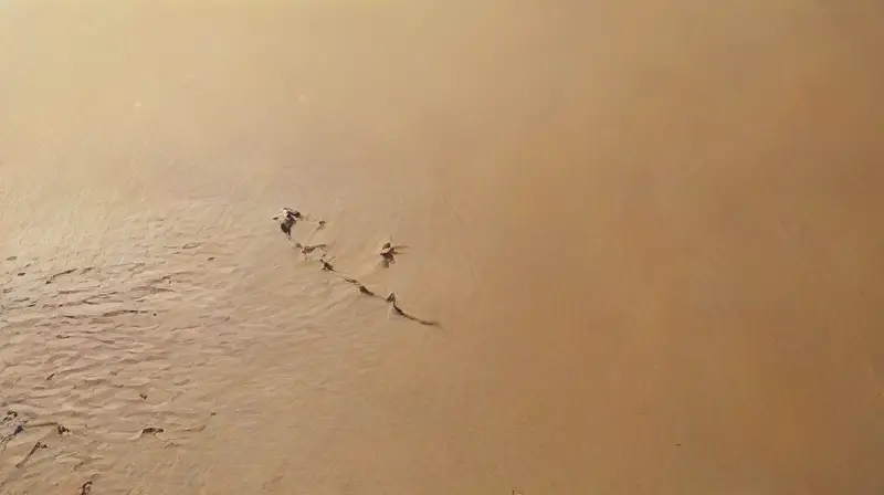 Pareja romántica en playa al atardecer