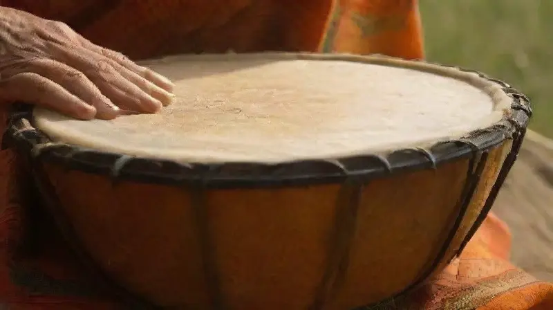 Un festival vibrante celebra la diversidad cultural