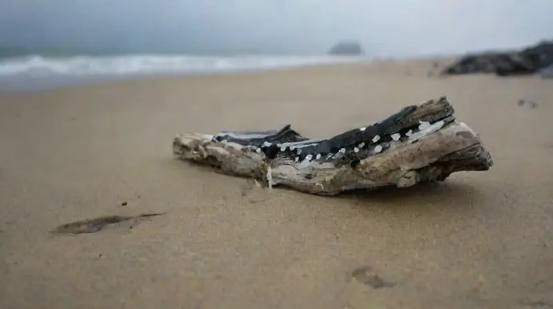 Un paisaje marino melancólico con figura solitaria