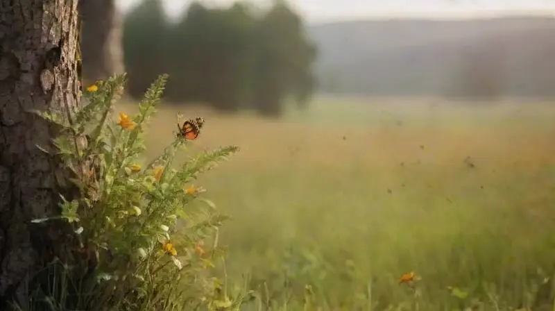 Un prado soleado rebosa de mariposas monarca
