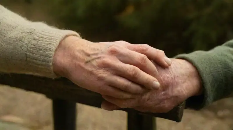 Pareja anciana refleja amor eterno en parque