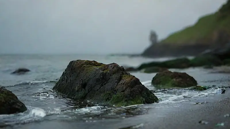 Sirenas encantan en un crepúsculo costero