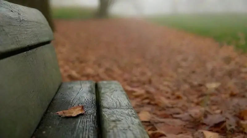 Una figura solitaria refleja tristeza en otoño
